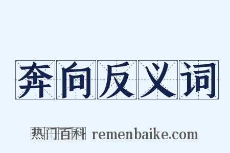 奔向反义词是什么意思的图片